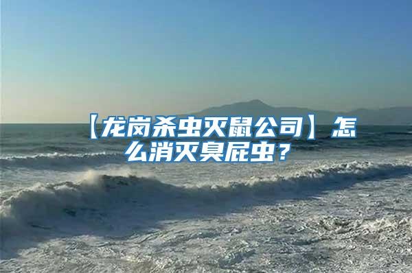 【龍崗殺蟲滅鼠公司】怎么消滅臭屁蟲？