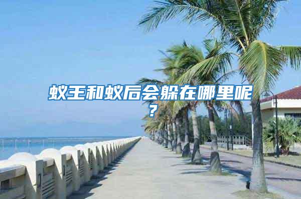 蟻王和蟻后會躲在哪里呢？