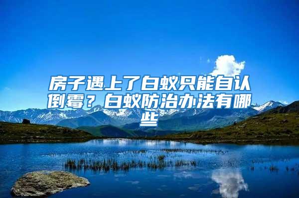 房子遇上了白蟻只能自認(rèn)倒霉？白蟻防治辦法有哪些