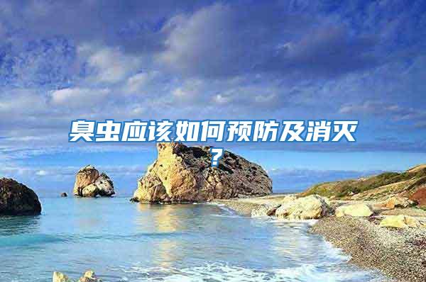 臭蟲應該如何預防及消滅？