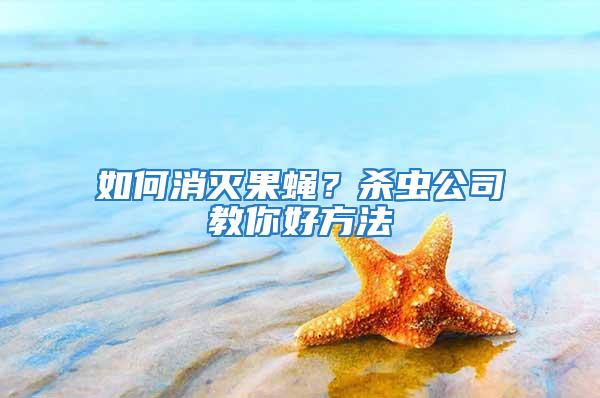 如何消滅果蠅？殺蟲公司教你好方法