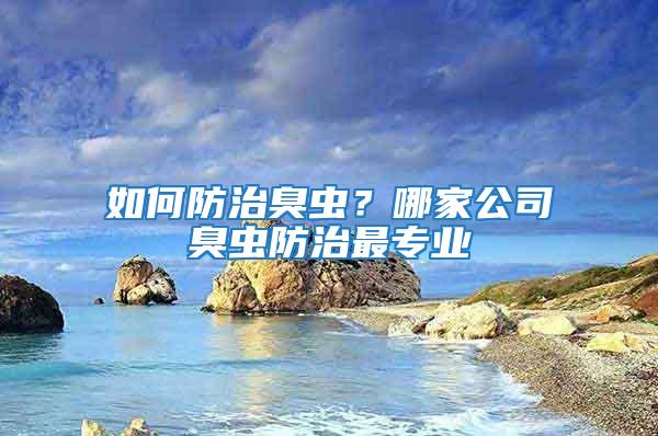 如何防治臭蟲？哪家公司臭蟲防治最專業