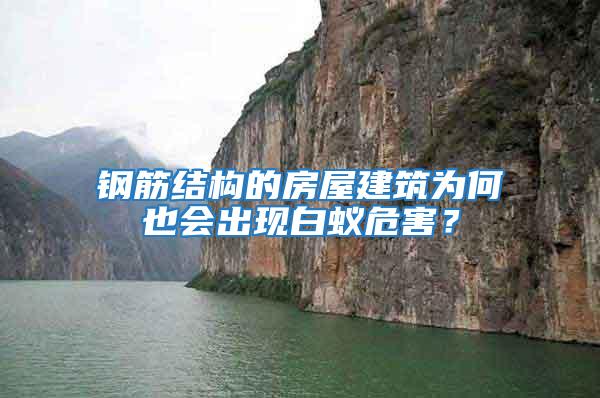 鋼筋結構的房屋建筑為何也會出現白蟻危害？