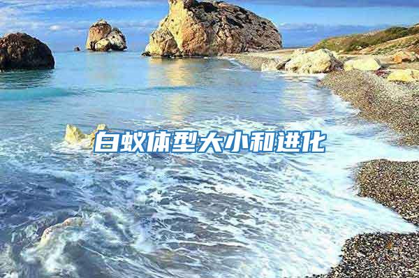 白蟻體型大小和進(jìn)化