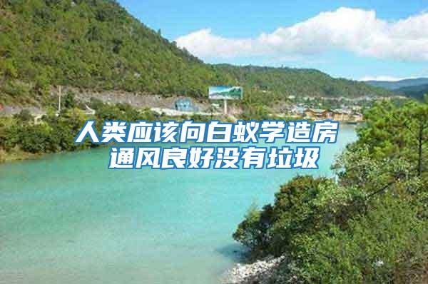 人類應(yīng)該向白蟻學(xué)造房 通風(fēng)良好沒(méi)有垃圾
