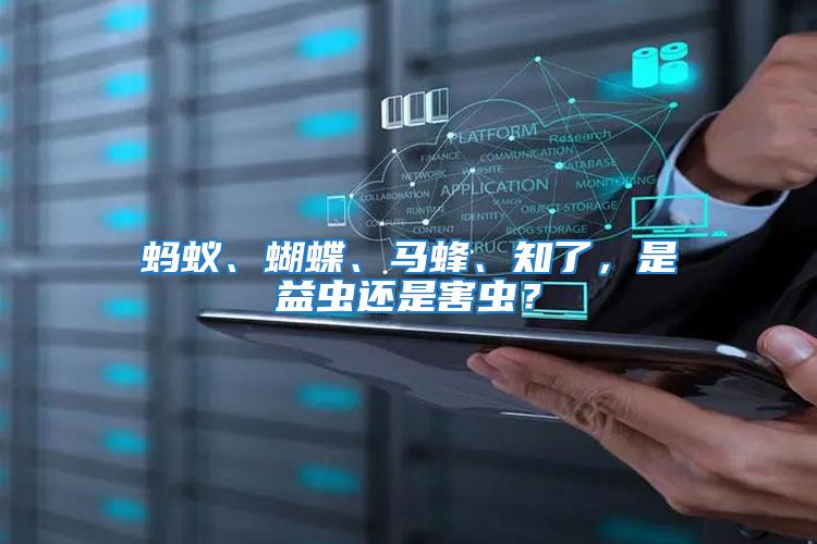 螞蟻、蝴蝶、馬蜂、知了，是益蟲(chóng)還是害蟲(chóng)？