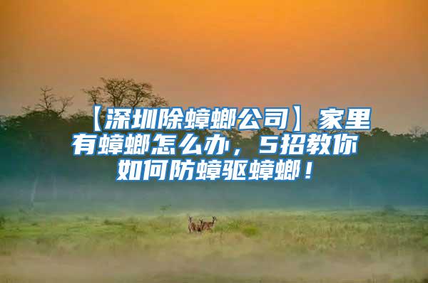 【深圳除蟑螂公司】家里有蟑螂怎么辦，5招教你如何防蟑驅蟑螂！
