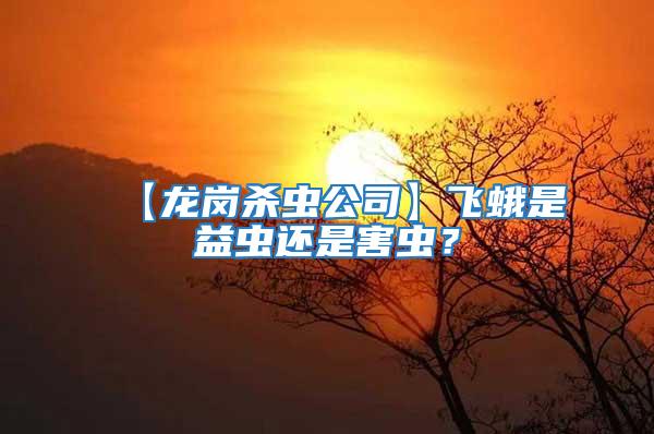 【龍崗殺蟲公司】飛蛾是益蟲還是害蟲？