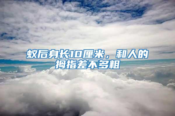 蟻后身長10厘米，和人的拇指差不多粗