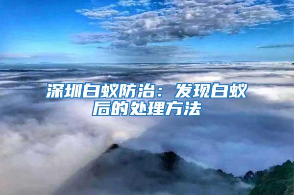 深圳白蟻防治：發現白蟻后的處理方法