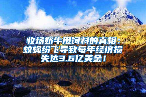 牧場奶牛甩飼料的真相：蚊蠅紛飛導(dǎo)致每年經(jīng)濟(jì)損失達(dá)3.6億美金！