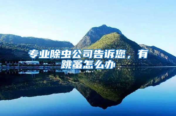專業(yè)除蟲公司告訴您，有跳蚤怎么辦