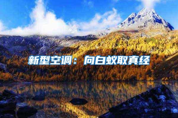 新型空調：向白蟻取真經