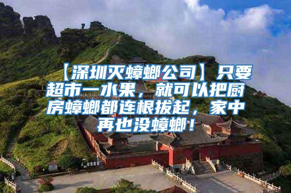 【深圳滅蟑螂公司】只要超市一水果，就可以把廚房蟑螂都連根拔起，家中再也沒(méi)蟑螂！