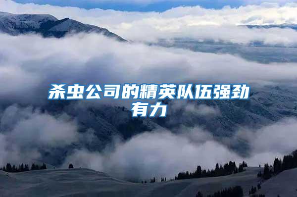 殺蟲(chóng)公司的精英隊(duì)伍強(qiáng)勁有力