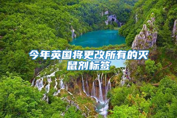 今年英國將更改所有的滅鼠劑標簽