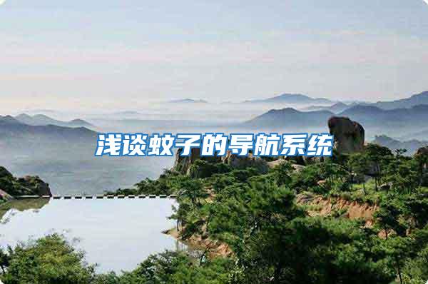 淺談蚊子的導航系統