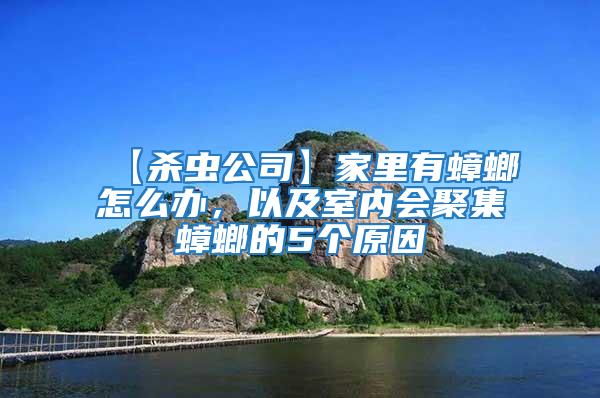 【殺蟲公司】家里有蟑螂怎么辦，以及室內會聚集蟑螂的5個原因