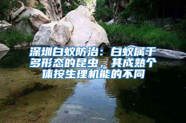 深圳白蟻防治：白蟻屬于多形態(tài)的昆蟲，其成熟個體按生理機能的不同