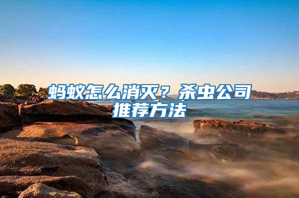 螞蟻怎么消滅？殺蟲(chóng)公司推薦方法