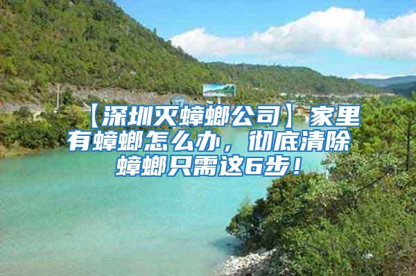 【深圳滅蟑螂公司】家里有蟑螂怎么辦，徹底清除蟑螂只需這6步！