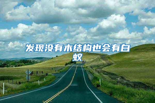 發(fā)現(xiàn)沒(méi)有木結(jié)構(gòu)也會(huì)有白蟻