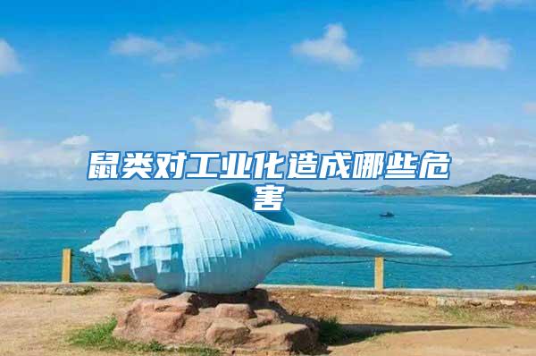 鼠類對(duì)工業(yè)化造成哪些危害