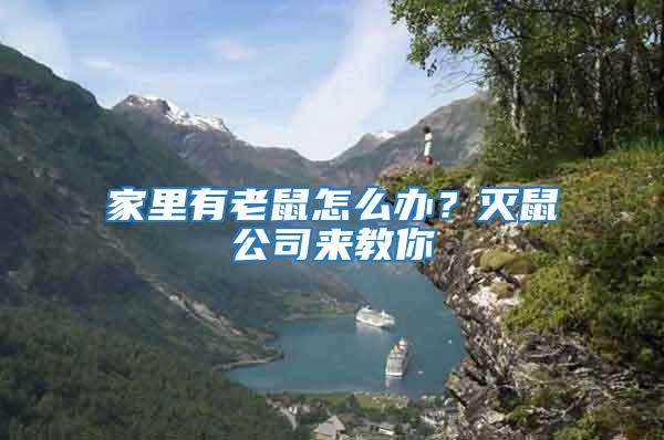 家里有老鼠怎么辦？滅鼠公司來教你