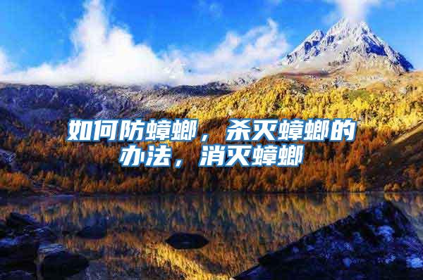 如何防蟑螂，殺滅蟑螂的辦法，消滅蟑螂