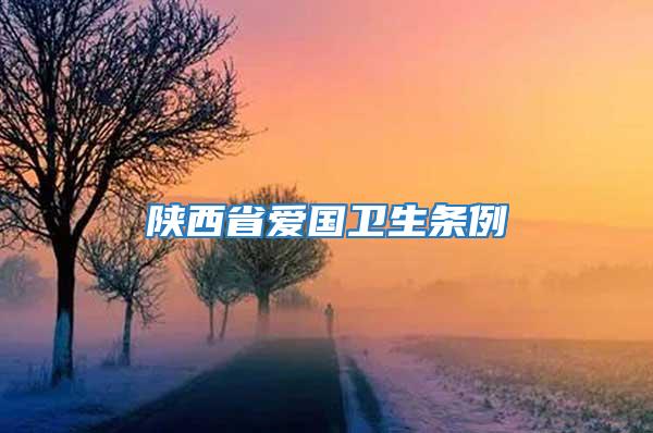 陜西省愛國(guó)衛(wèi)生條例