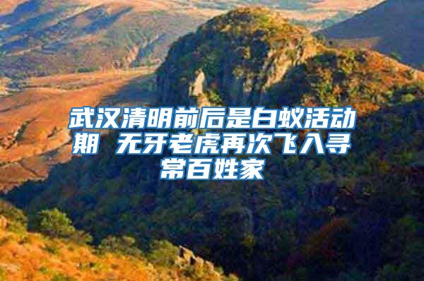 武漢清明前后是白蟻活動(dòng)期 無牙老虎再次飛入尋常百姓家