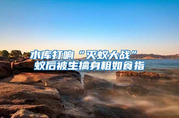 水庫(kù)打響“滅蟻大戰(zhàn)” 蟻后被生擒身粗如食指