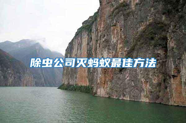 除蟲(chóng)公司滅螞蟻?zhàn)罴逊椒?/></p>
             <p style=