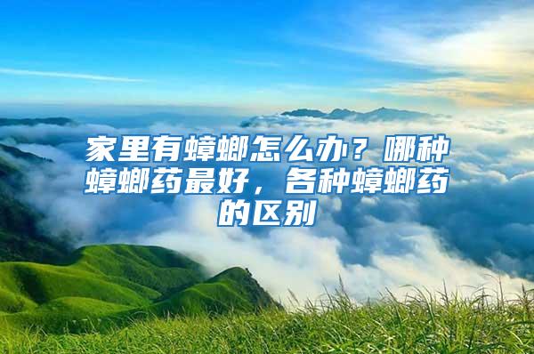 家里有蟑螂怎么辦？哪種蟑螂藥最好，各種蟑螂藥的區別