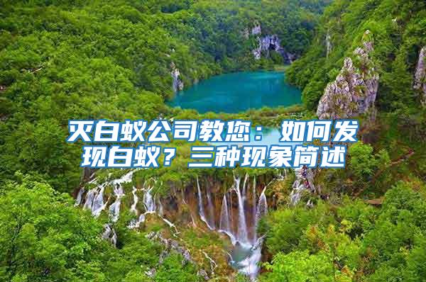滅白蟻公司教您：如何發(fā)現(xiàn)白蟻？三種現(xiàn)象簡述