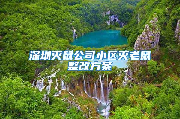 深圳滅鼠公司小區滅老鼠整改方案