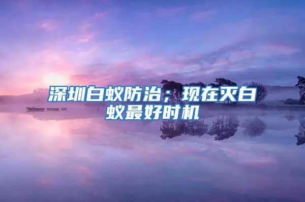 深圳白蟻防治；現(xiàn)在滅白蟻最好時機