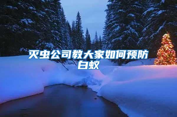 滅蟲公司教大家如何預(yù)防白蟻