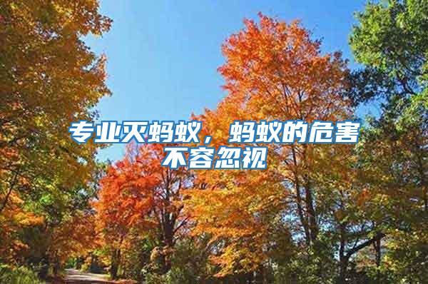 專(zhuān)業(yè)滅螞蟻，螞蟻的危害不容忽視