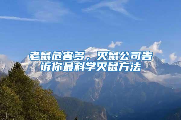 老鼠危害多，滅鼠公司告訴你最科學滅鼠方法