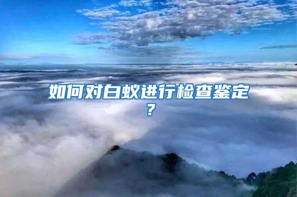 如何對白蟻進行檢查鑒定？
