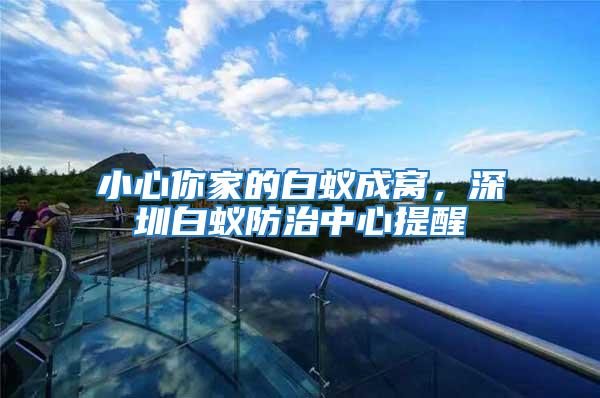 小心你家的白蟻成窩，深圳白蟻防治中心提醒