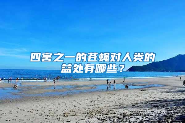 四害之一的蒼蠅對(duì)人類的益處有哪些？