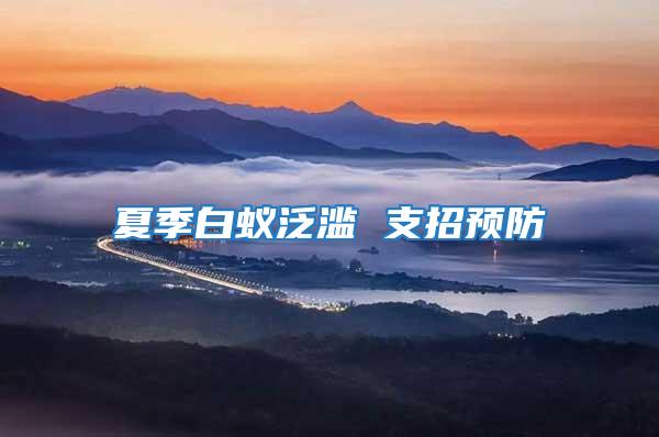 夏季白蟻泛濫 支招預(yù)防