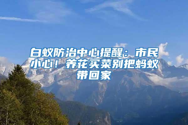 白蟻防治中心提醒：市民小心！養(yǎng)花買(mǎi)菜別把螞蟻帶回家