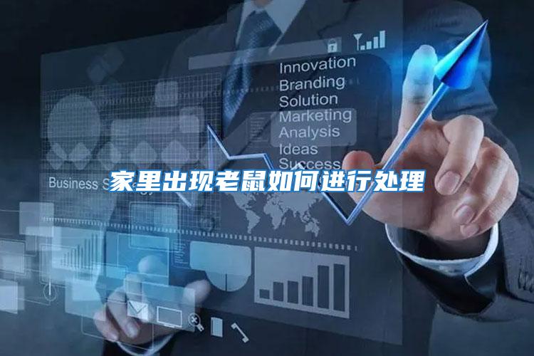 家里出現(xiàn)老鼠如何進行處理