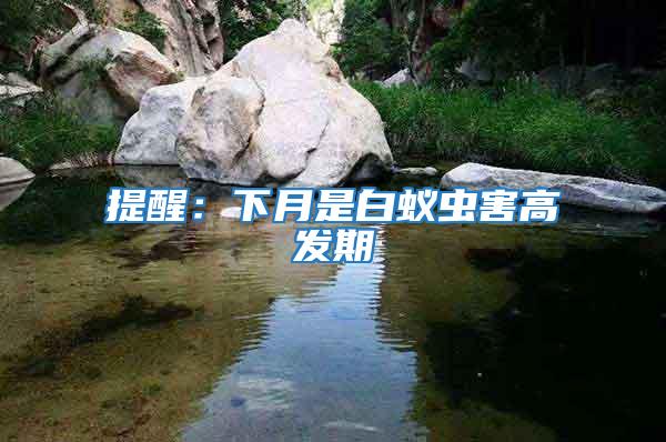 提醒：下月是白蟻蟲害高發期