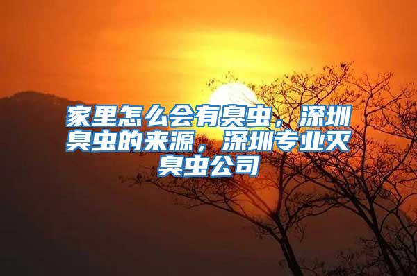 家里怎么會(huì)有臭蟲(chóng)，深圳臭蟲(chóng)的來(lái)源，深圳專(zhuān)業(yè)滅臭蟲(chóng)公司