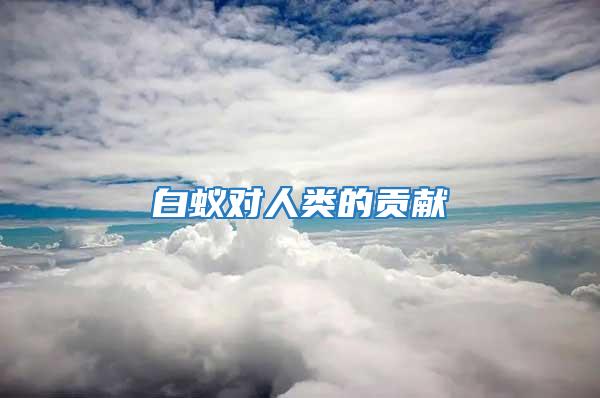 白蟻對(duì)人類的貢獻(xiàn)