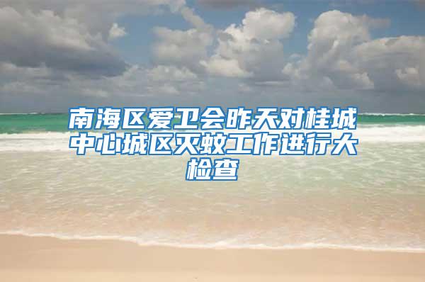 南海區愛衛會昨天對桂城中心城區滅蚊工作進行大檢查